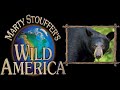 Swamp Bears Part 1 - Wild America Season 1 Episode 8 -  Animal TV - The Natural World Is Awesome