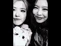 Best duo#blackpink#jennie#rose#shorts#edit