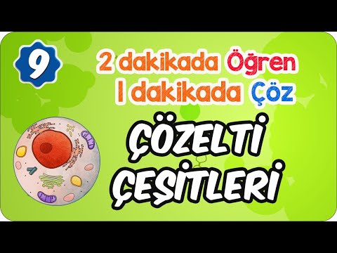 Hücreye Göre Çözelti Çeşitleri | 2 Dakikada Öğren 1 Dakikada Çöz