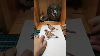 ❤️3d Drawing Birds | Creative Drawing Ideas—Catch This Bird❤️#shorts #3dart #3ddrawing screenshot 2