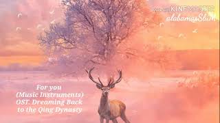 For you - (Music Instruments) OST. Dreaming Back to the Qing Dynasty | ฝันคืนสู่ต้าชิง
