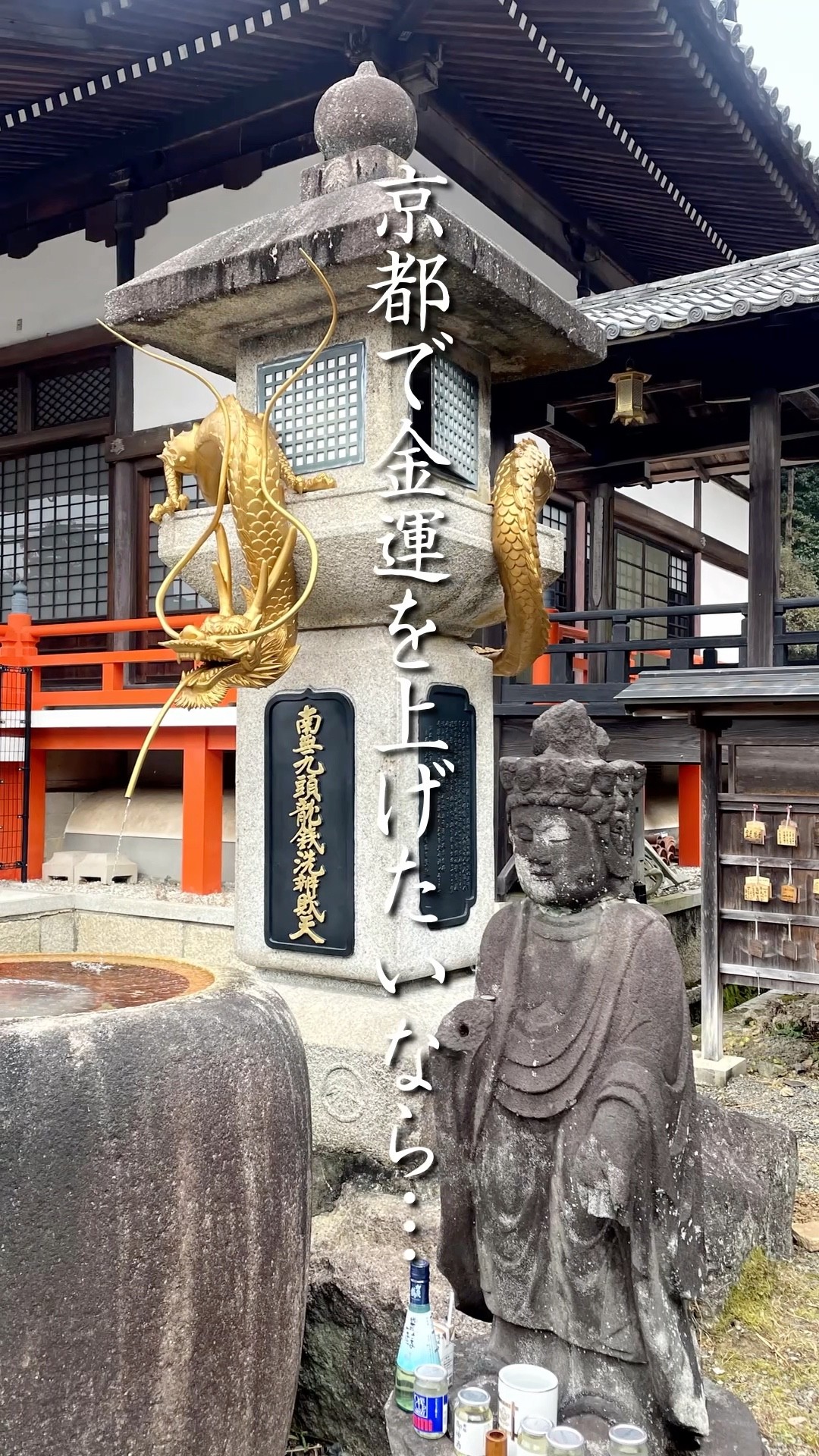 金運覚醒】洗うとお金が増える⁉京都・本圀寺「九頭龍銭洗弁財天」が凄