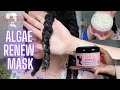 Detailed Camille Rose Algae Renew Mask Review On 3C Low Porosity Hair! | Is It Worth It?!