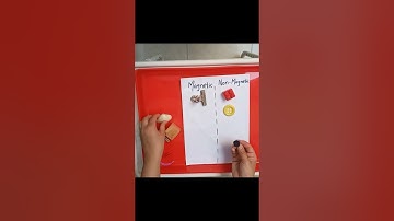 Magnetic And Non-magnetic Items | A Simple At Home Science Activity