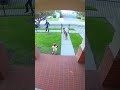 German Shepherd PROTECTS toddler from stranger.