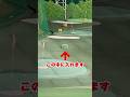 これみんな1回はやるよねwww