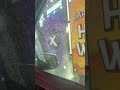 Papa bear car wash #shorts #hoyerfamilycuocsongmy #toyotarav42021
