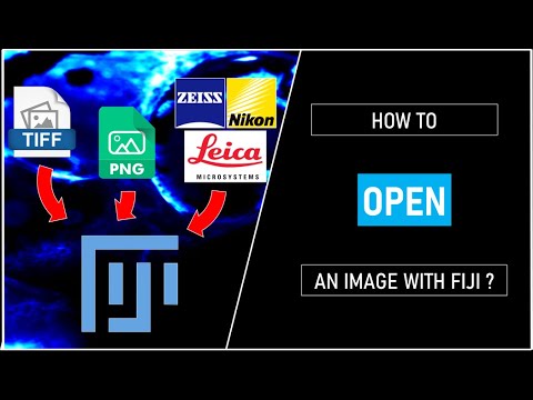 How to open an image with FIJI ?