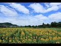恋はやさし野辺の花よ NHK朝ドラひよっこ挿入歌「いち髪」のCMソング 秦基博 cover