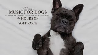 Soft Rock Dog Music : The Science To Make Them Happy : 9+ Hours Of Calming Music screenshot 5