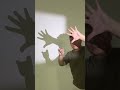 Try this guys! 🤘☝️🐱 #shadowace #art #viral