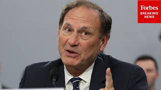 'Why Didn't They Refer Specifically To Those?': Alito Asks Attorney About 14th Amendment Wording