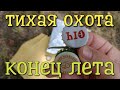 Тихая охота - собираю на улице пивные крышки в коллекцию и для обменов