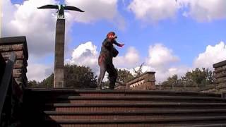 Dragon of Transylvania feat  Lena&Markus Beyer "Gladiator" screenshot 3