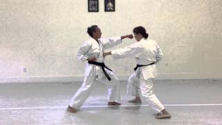 Ippon Kumite Jodan Chudan Migihidari  Ikd Testing Syllabus S  Shotokan Karate 2013