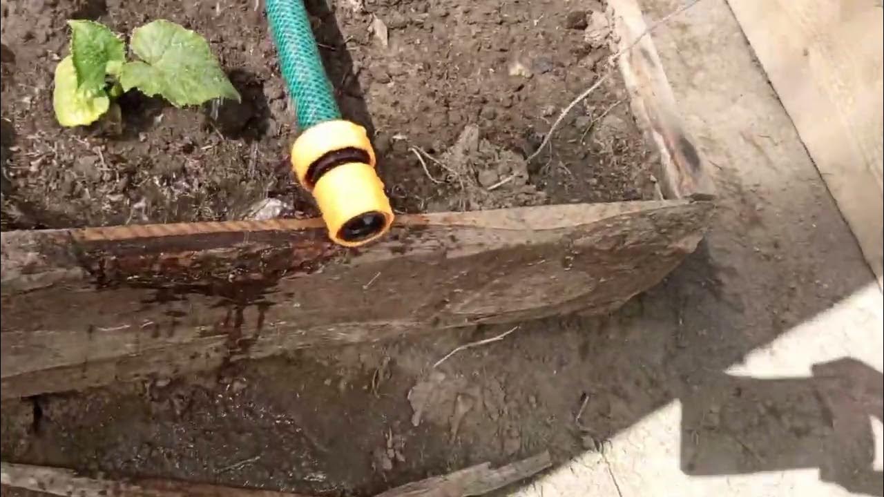 автополив в теплице из старого шланга 💦 - YouTube