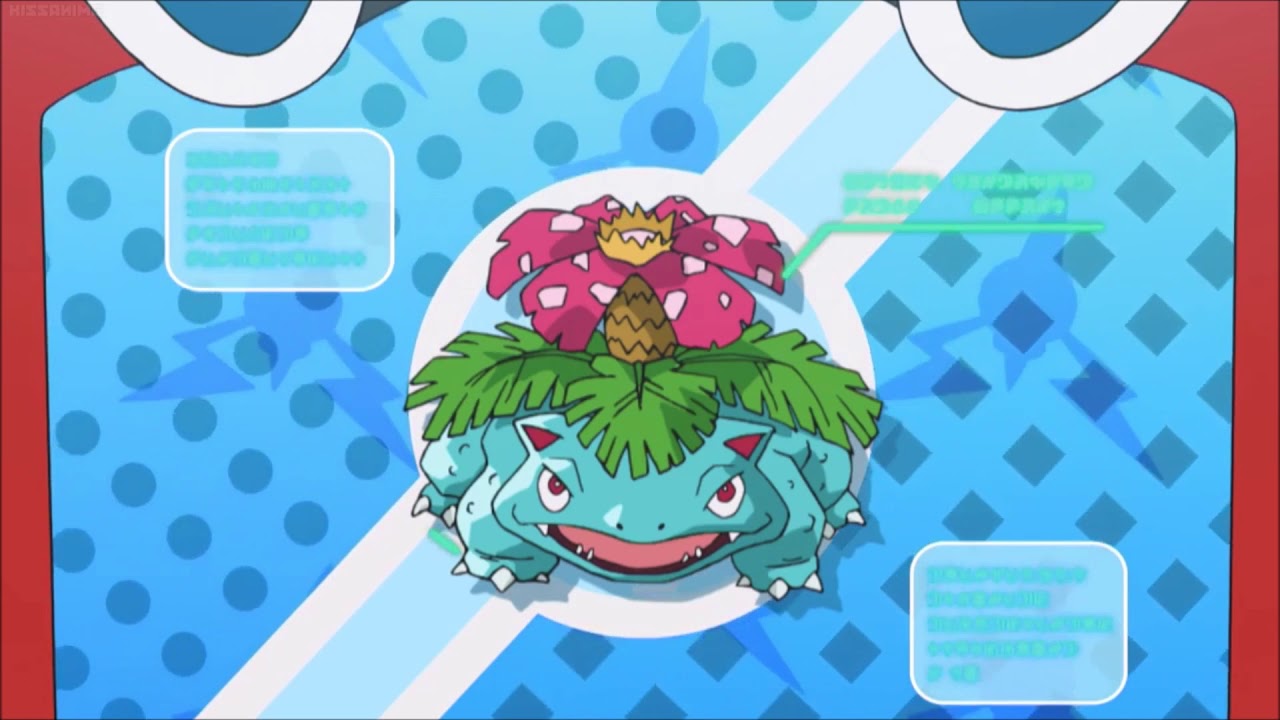 Venusaur Pokédex Entry A Full Battle Bounty YouTube