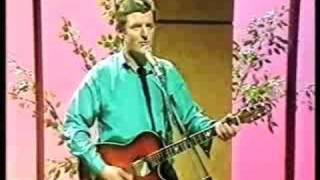 Video thumbnail of "Mick Flavin-Wild Flowers"