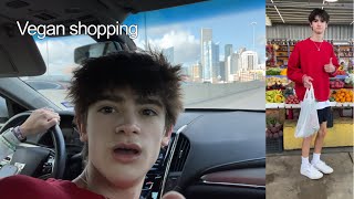 Farmers Market + Vegan Shopping Vlog