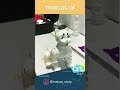 Exciting robot cat -CES Awards winner Maicat show delight!          #shorts #robot #ai #behavior