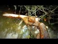 Discovering A Gun In The River Along With Neat Bottles | Aquachigger