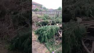 Green Waste Removal Bournemouth