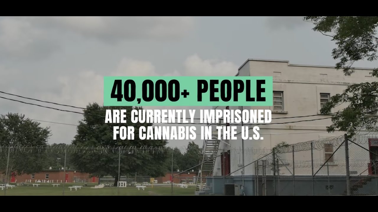 LPP Informational Video