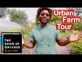 This Detroit Agrihood is Transforming its Community - Michigan Urban Farming Initiative Tour