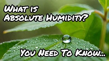 Absolute Humidity: You need to know | Why Absolute Humidity Matters.