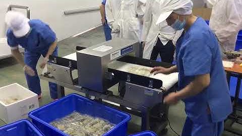 Conveyor Food Metal Detectors for Dumplings Quality Control