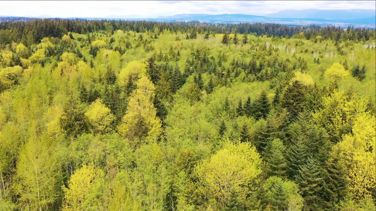 Stanwood Real Estate Video!