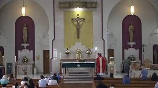 Thursday, St. Augustine Zhao Ring, Mass with Fr. Christy Yesudass, MSC (7/9/2026)