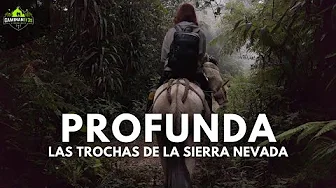 THE CROSSING OF THE SIERRA NEVADA (Santa Marta) | COLOMBIAN TRAILS