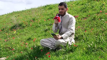 ماتیسر عشرة ایات من سورة الكهف بصوت القارئ سردار ناصر