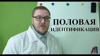 Половая идентификация