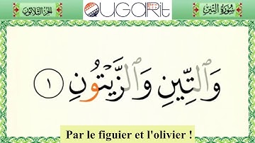 N°95 Sourate AT-TIN / LE FIGUIER en français سورة التّين بخط كبير مترجمة للغة الفرنسية