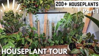 Houseplant tour 2023 ALL MY BASEMENT PLANTS (Rare And Common) Part 1