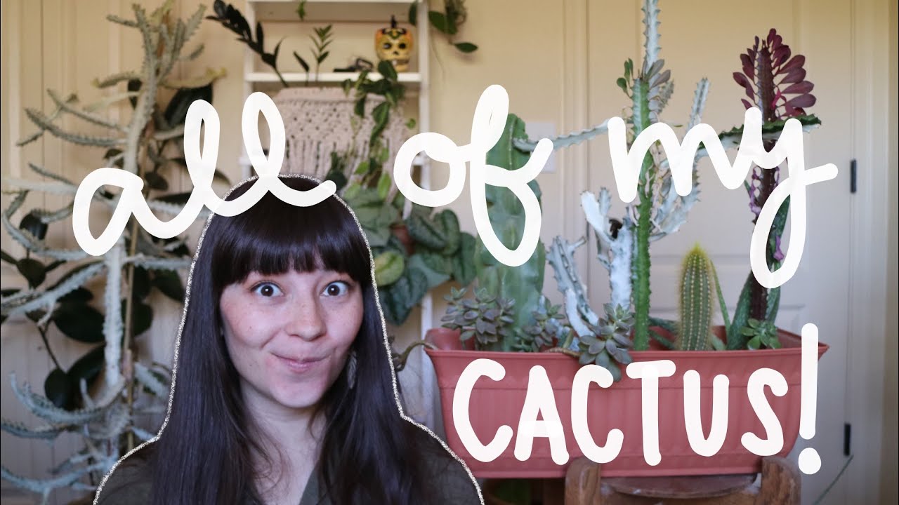 MY ENTIRE CACTUS COLLECTION | Cactus, Euphorbia, Jungle Cactus