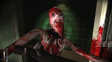 Cry of Fear Co-Op Campaign [Part 2] The Asylum