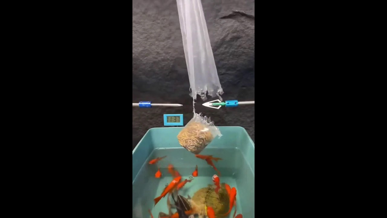 ИГРАЕМ НА СТРИМЕ ШОРТС