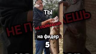 Фидер на сильном течении. Ошибки новичков 5 #lev77 #feederfishing