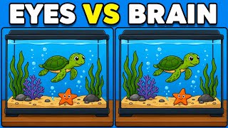 Spot the Difference Brain Exercise | Super Hard Challenges EYES VS BRAIN (MrFinder)