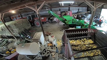 Cramped Loading Out Ear Corn