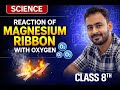 Reaction Of Magnesium Ribbon With Oxygen | Class 8 Science Experiment (NCERT)