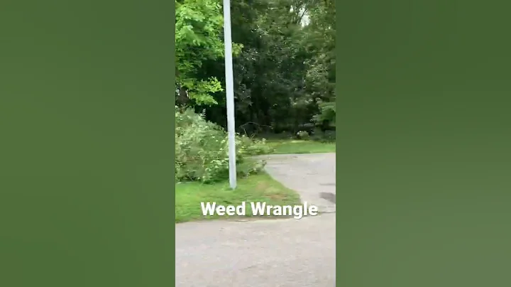 Weed Wrangle in Columbus, Indiana.  30 volunteers,...