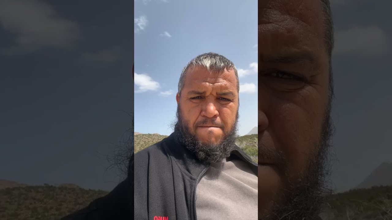 الغابة راهي زاهية 🌳 فؤاد الجزائر الخضراء #الجزائر #الجزائر_الخضراء 