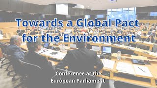Montserrat Mir Roca's intervention (Fr) - Brussels Conference on the Global Pact for the Environment