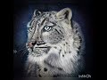 cours de pastel sec