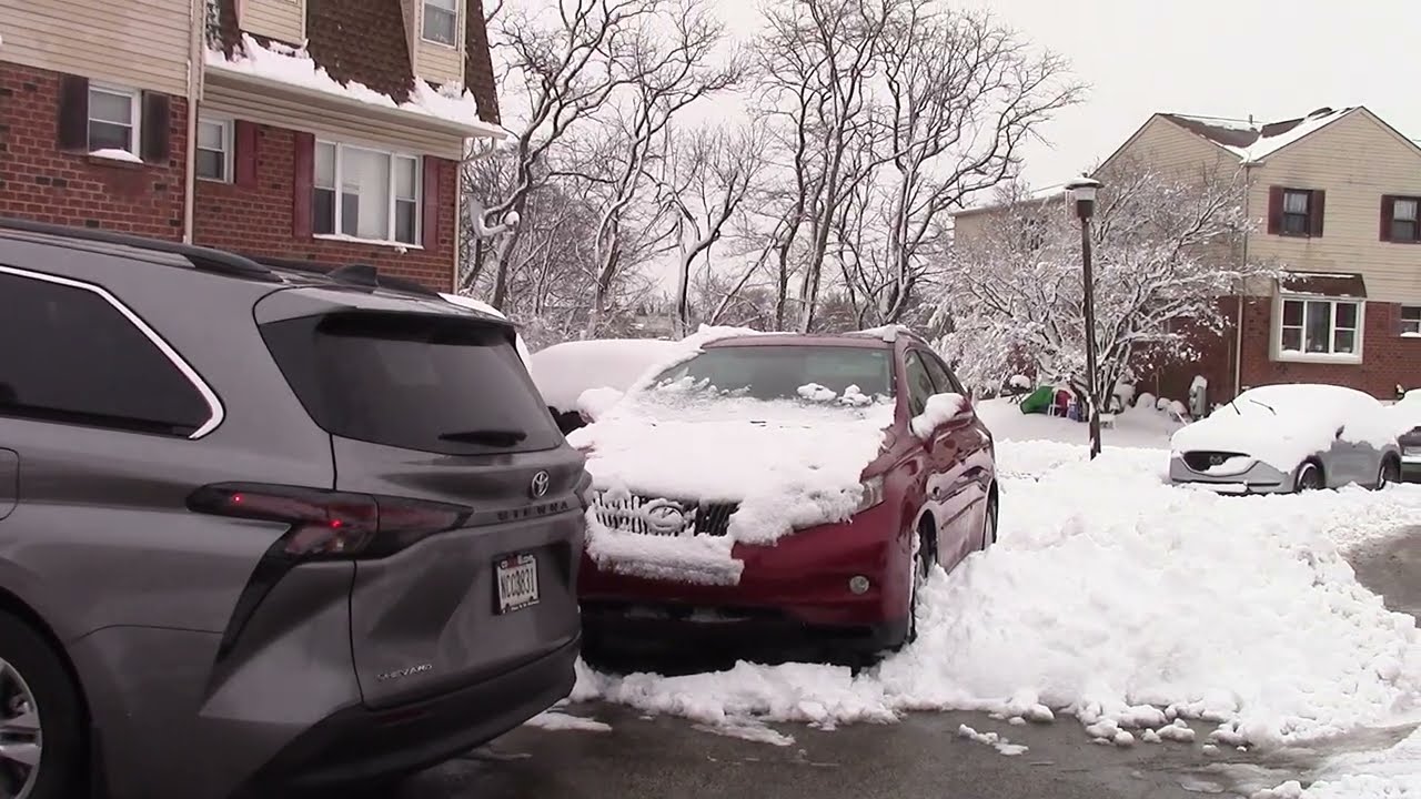 23 фев. с.г. Филадельфия после снегопада. Мужское население нашей улицы дружно взялось за лопаты...