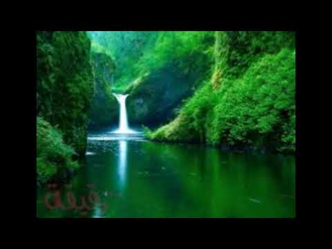 متن الخزرجية الرامزة في علم العروض اداء زكرياء بنعيم 